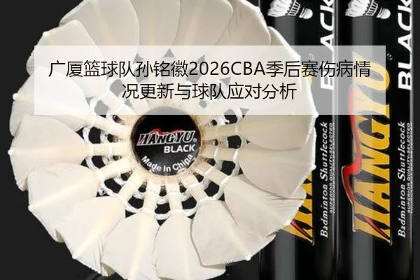 广厦篮球队孙铭徽2026CBA季后赛伤病情况更新与球队应对分析