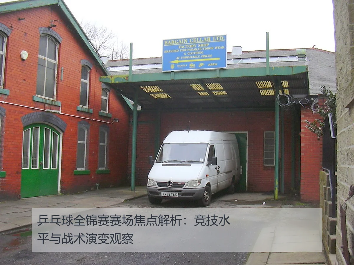 乒乓球全锦赛赛场焦点解析:竞技水平与战术演变观察